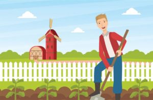 Read more about the article Newbie: Πλατφόρμα πληροφόρησης για νεοεισερχόμενους στη γεωργία