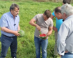 Read more about the article Meeting γεωπόνων και crop specialists της εταιρείας Rijk Zwaan Hellas